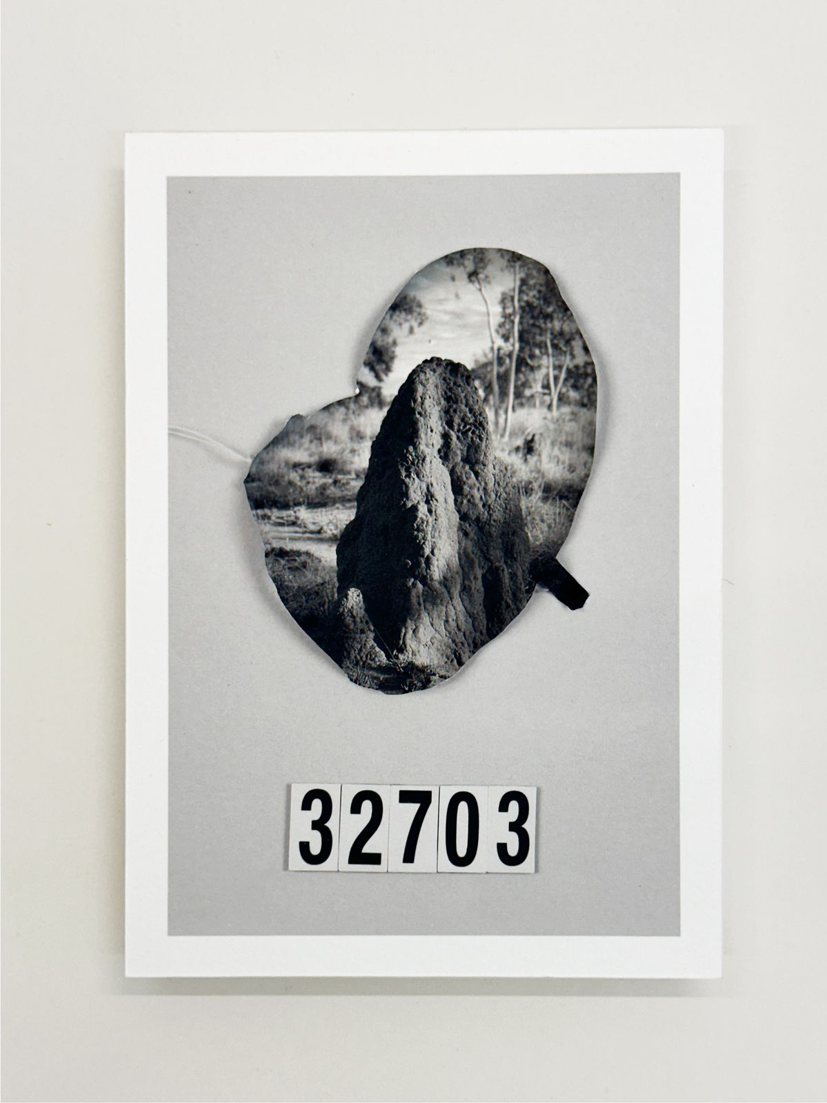 Patrick Waterhouse, 32703, 2022-23