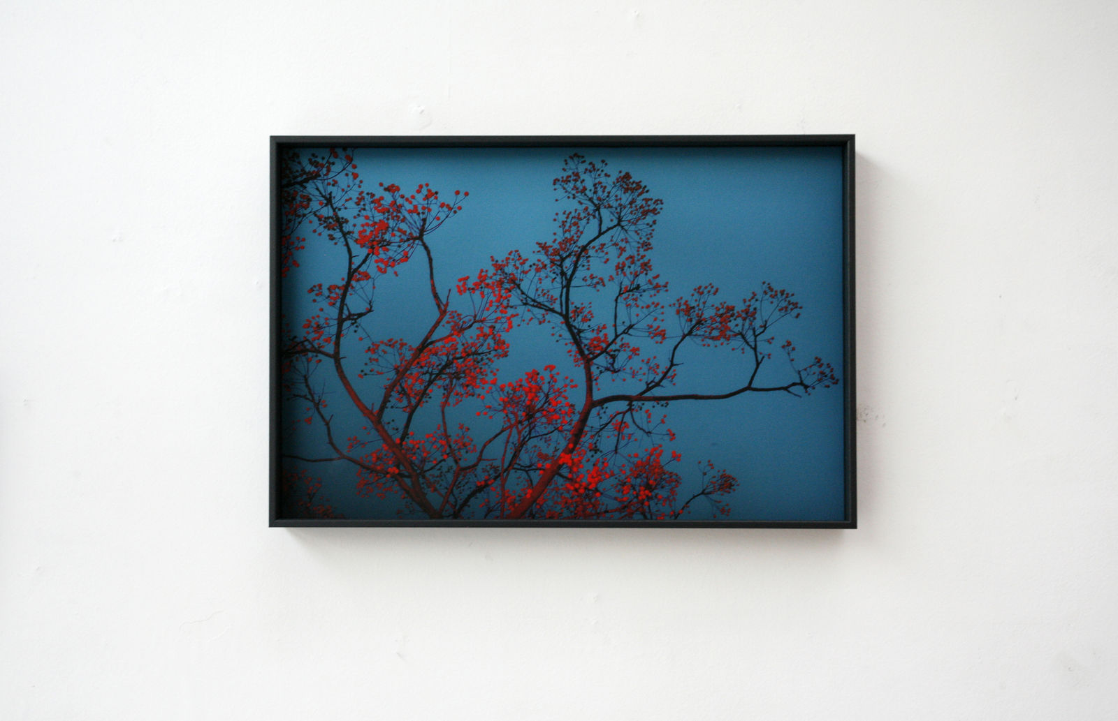 Paul Cupido, Mukayu #28, 2019