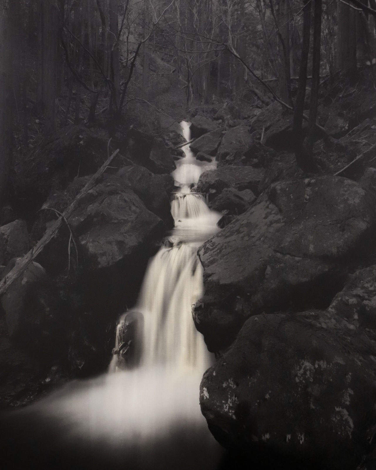 Naohiro Ninomiya, Nanashi-no-taki, 2022