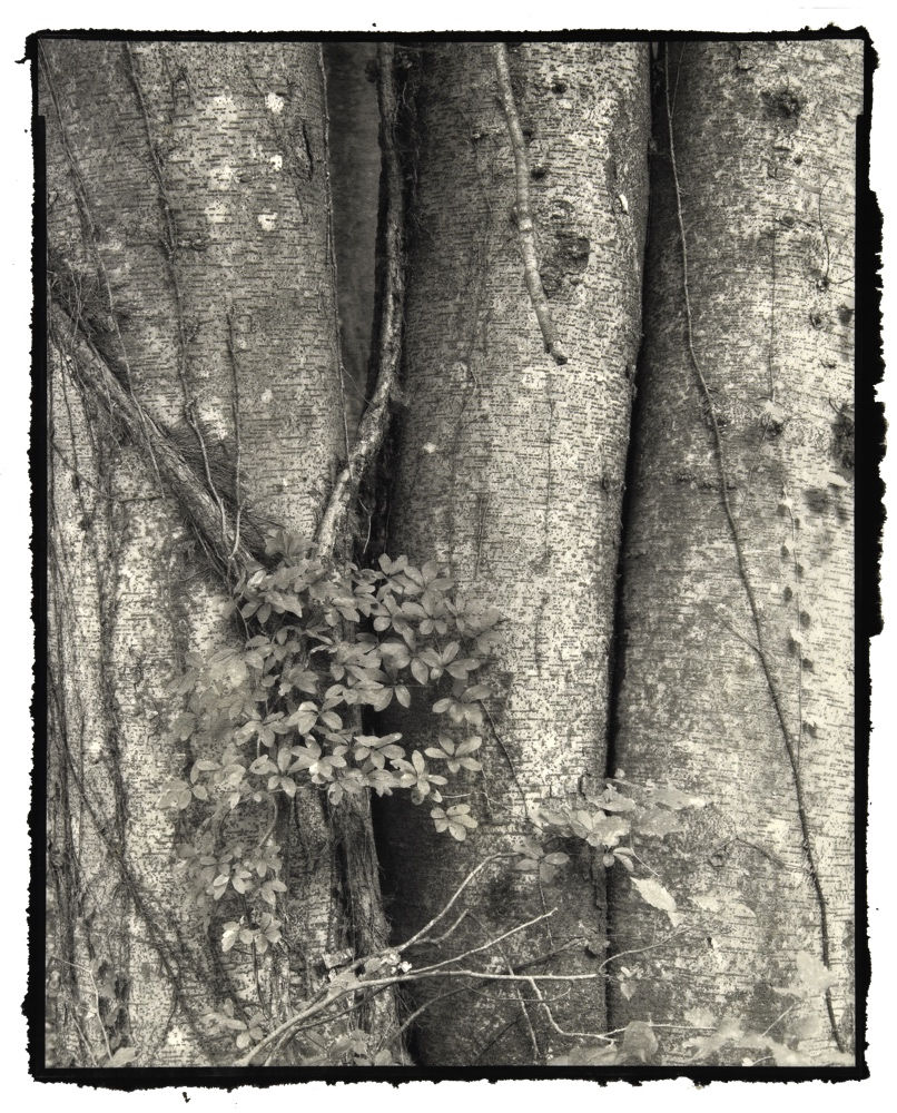 Nobuyuki Kobayashi, kei, 2018