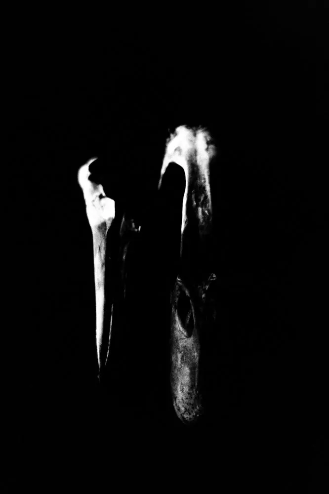 Munemasa Takahashi, Laying Stones 024, 2014