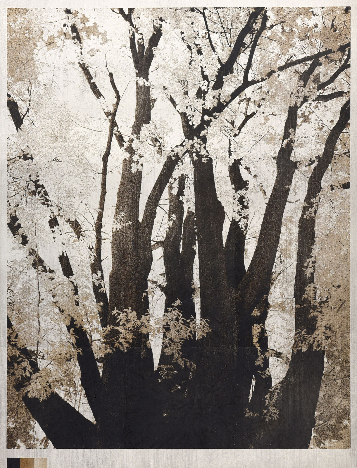 Norio Takasugi, 3-31 B, 2021