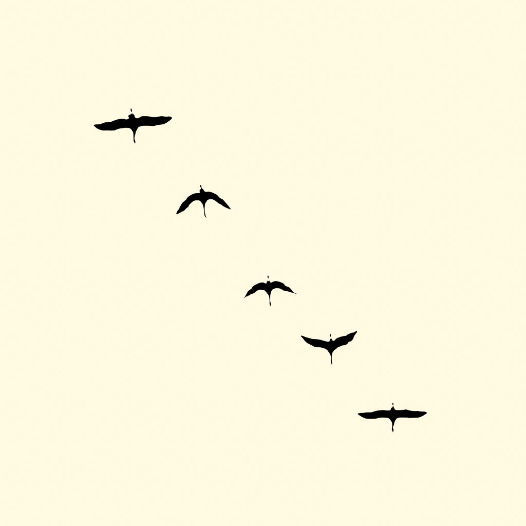 François Laxalt, Cinq / Five, 2015