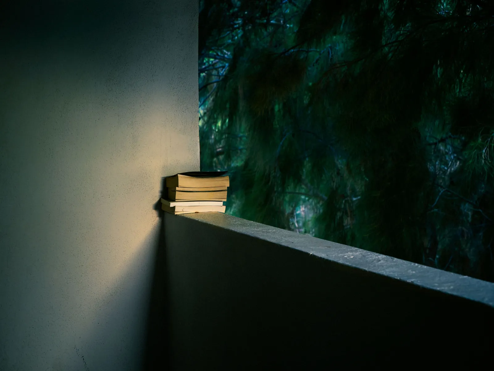 Christopher Thomas, Bittersweet 124, 2016