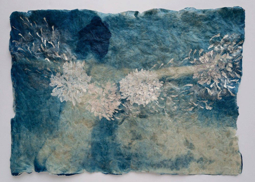 Mika Horie, Kiku II, 2023