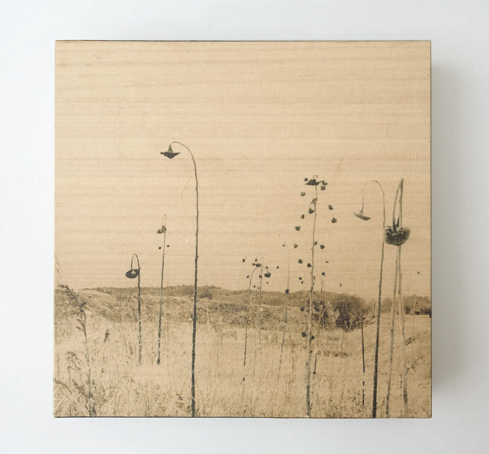 Miho Kajioka, and, do you still hear the peacocks?, 2021