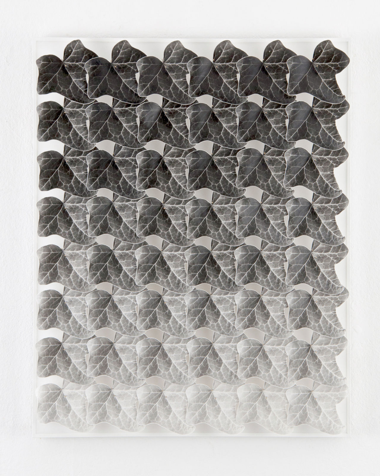 Norio Takasugi, Efeu 8-4, 2016