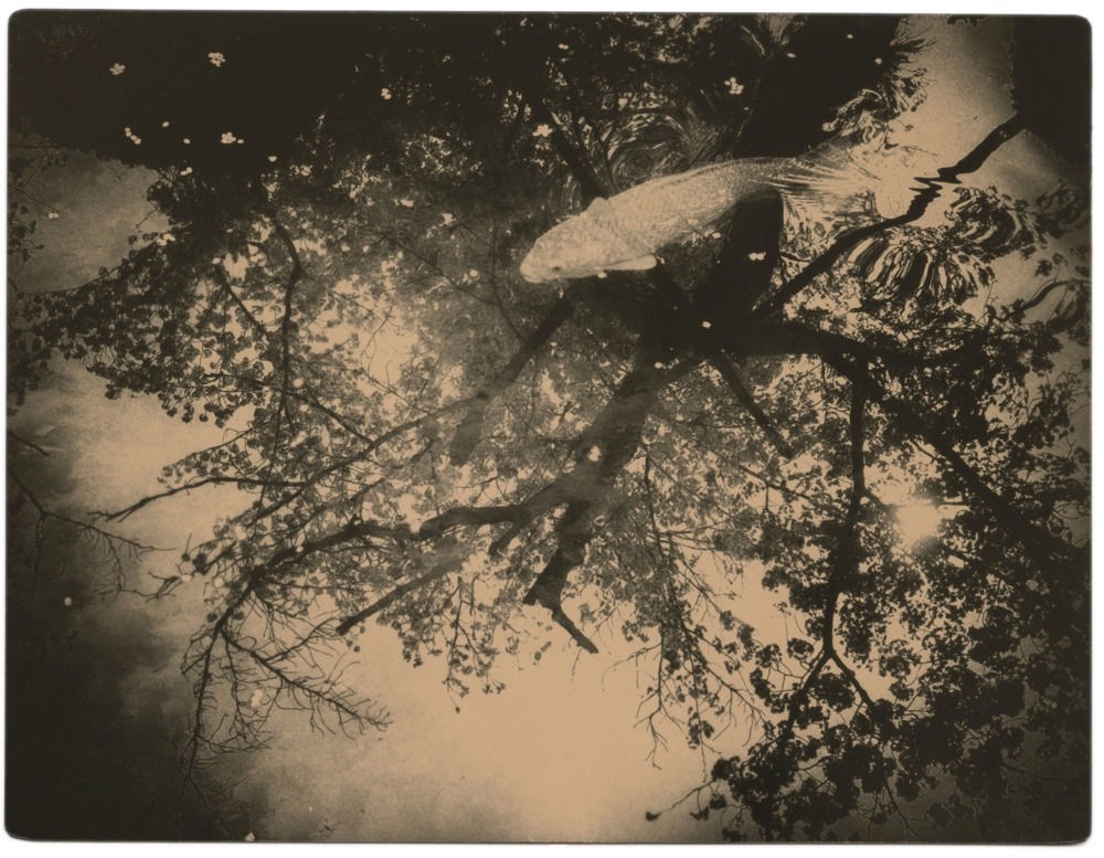 Miho Kajioka, BK0623, 2020