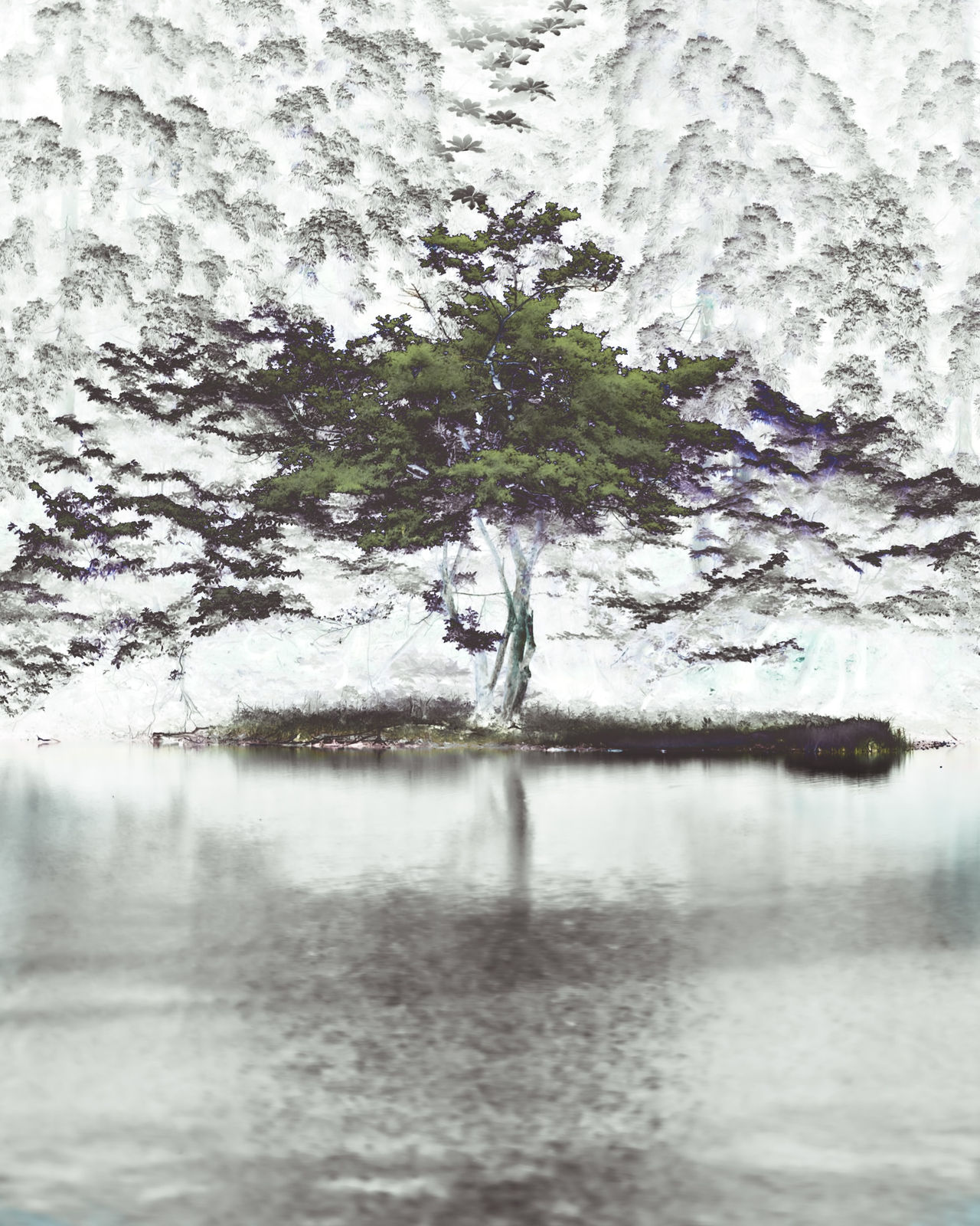 Hayato Takekoshi, Certainly There, 2022