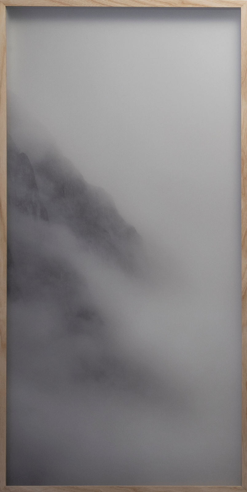 Casper Faassen, Pine Trees I, 2023