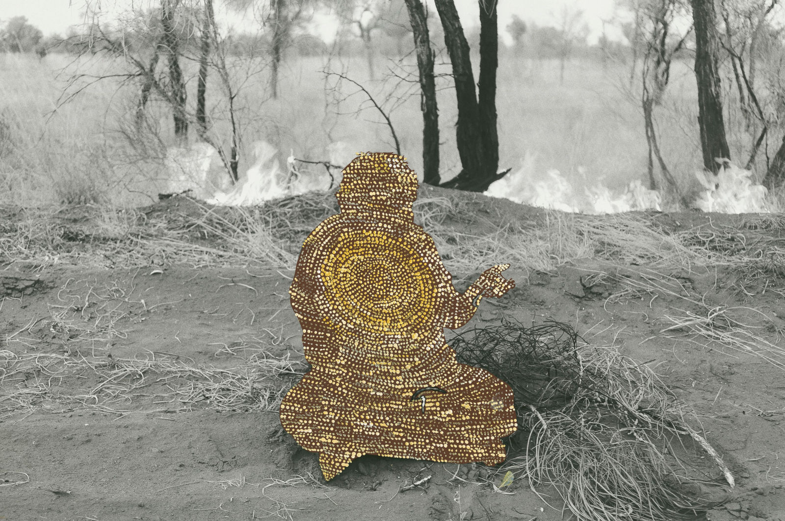 Patrick Waterhouse, No Iguana Only Bush Peas. Jarra. Restricted with Sarah Napurrurla Leo, 2014-2018