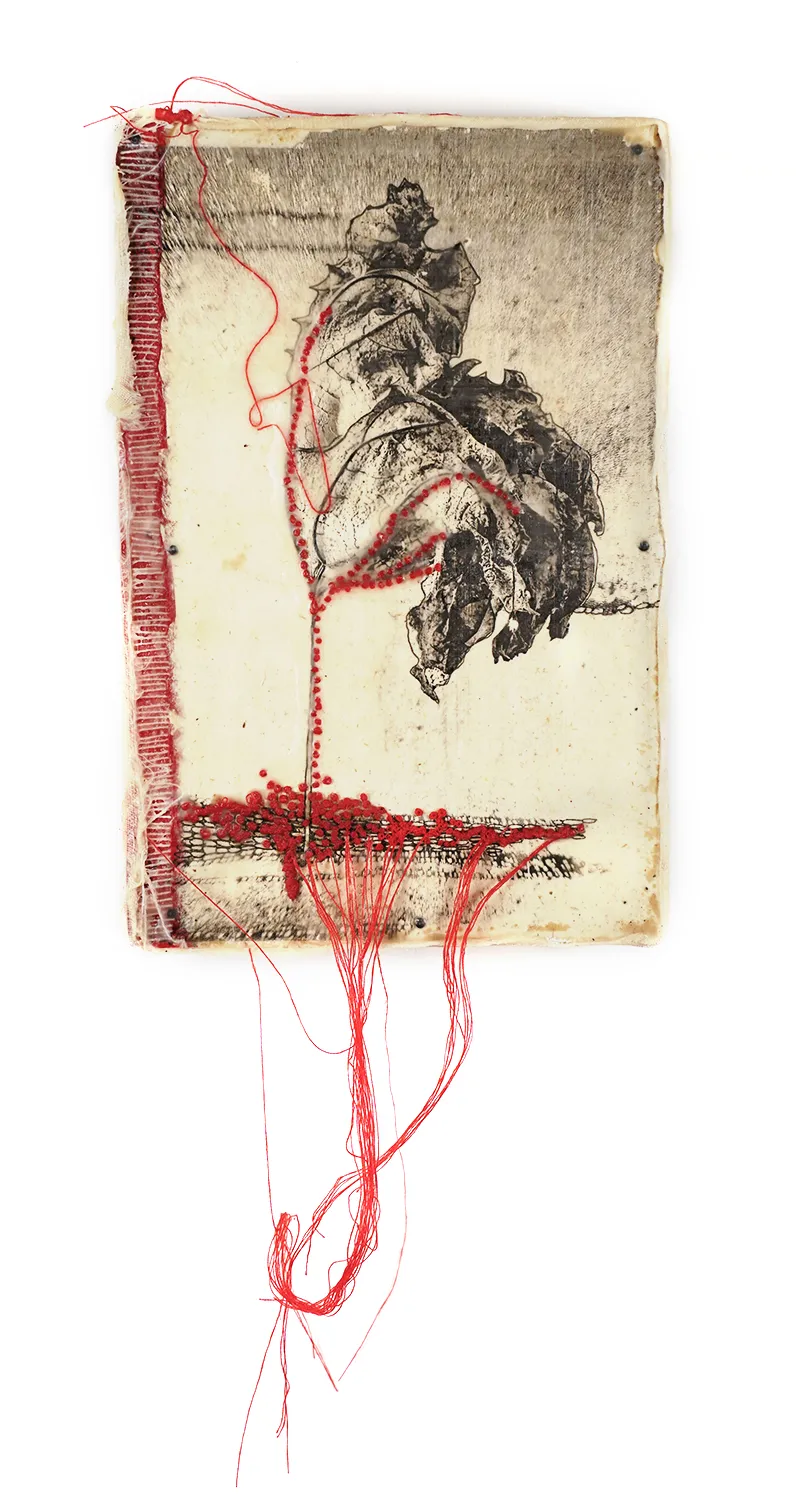 Jackie Mulder, Thought Trails #572, 2025