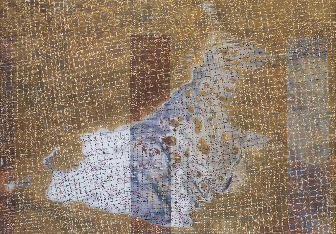 Patrick Waterhouse, Satellite image of the Mina Minda Jukurrpa (women's Dreaming site) near lake Mackay, west of Yuendumu / Revised with Julie Nangala Robertson, 2014-2018