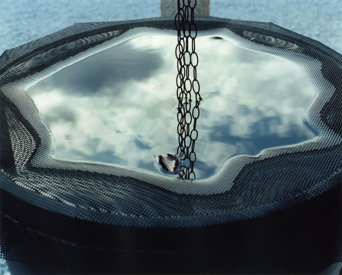 Yoko Ikeda, 1245-04 Kurashiki City, Okayama Prefecture, 2014