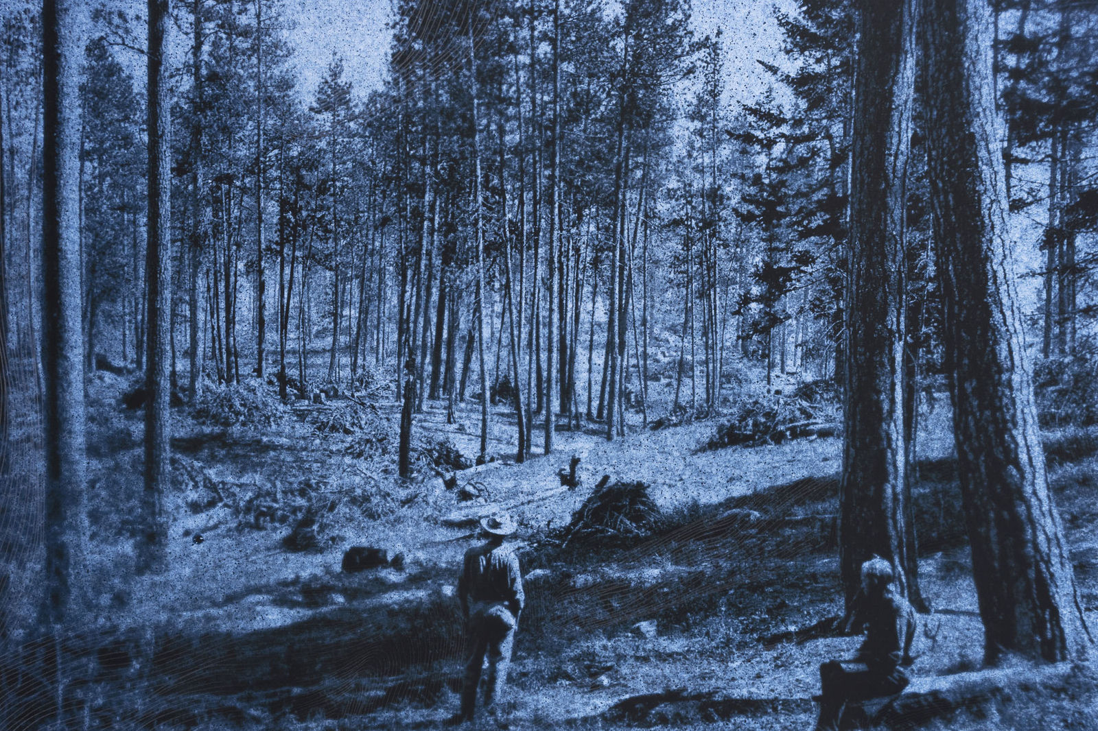 Morvarid K, Standing Still 5-7, 2026