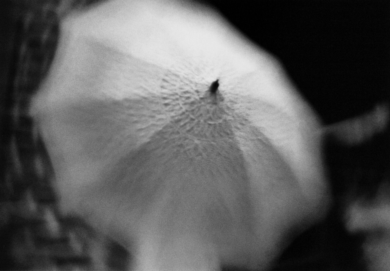 Reiko Imoto, Dream 4 from Dreams of the Amnesiac, 2002