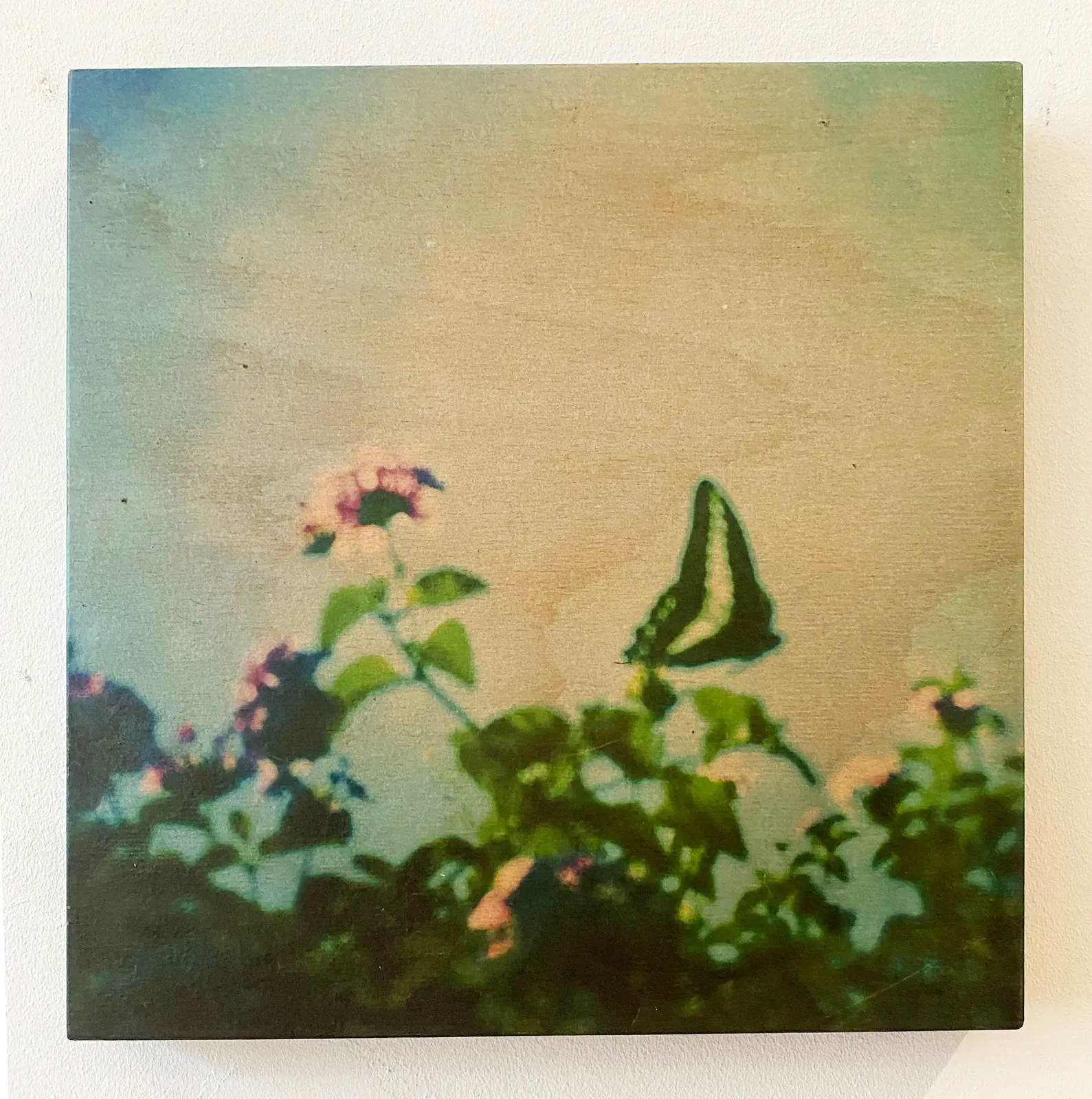 Miho Kajioka, CL0024, 2014