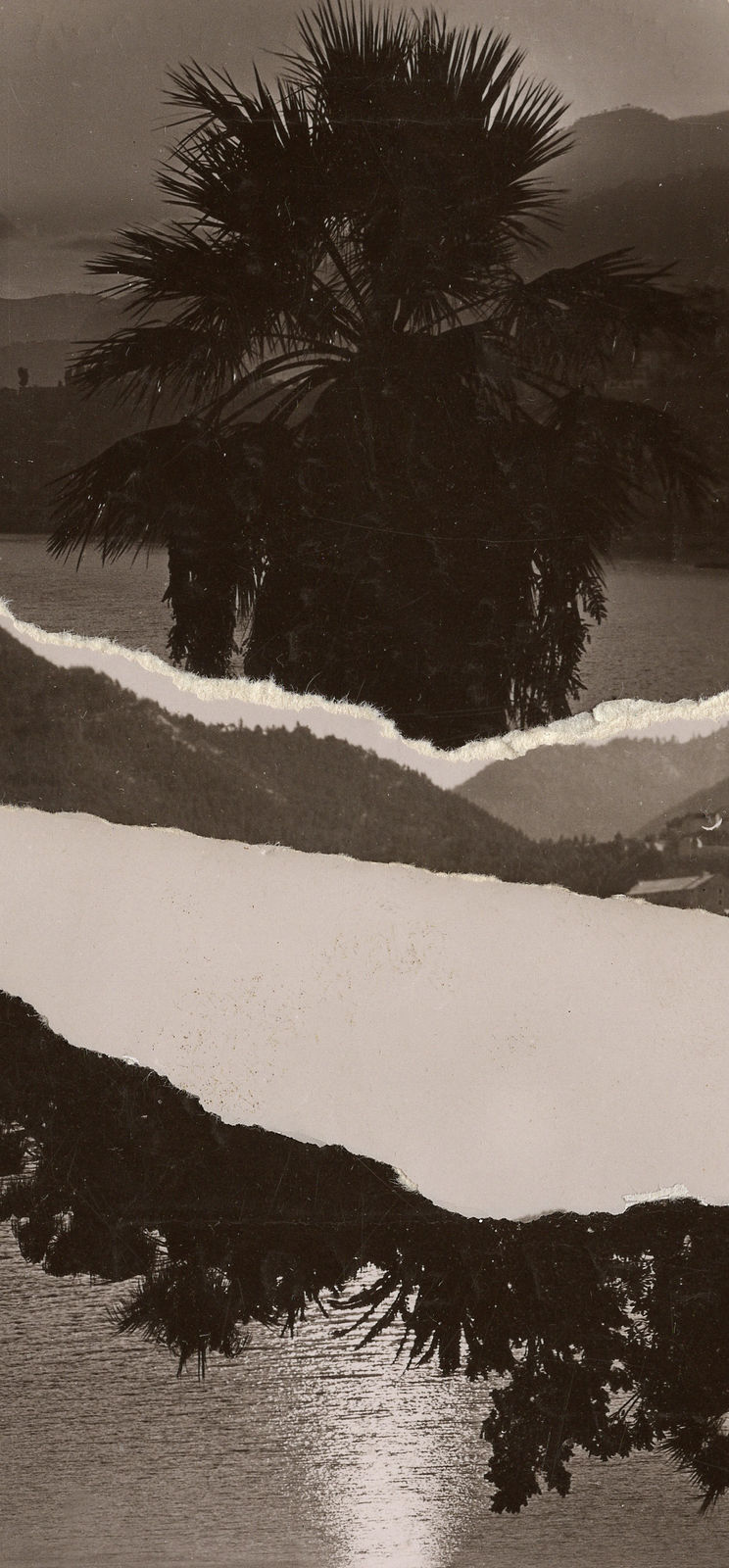 Gert Motmans, DAY 34, 2022