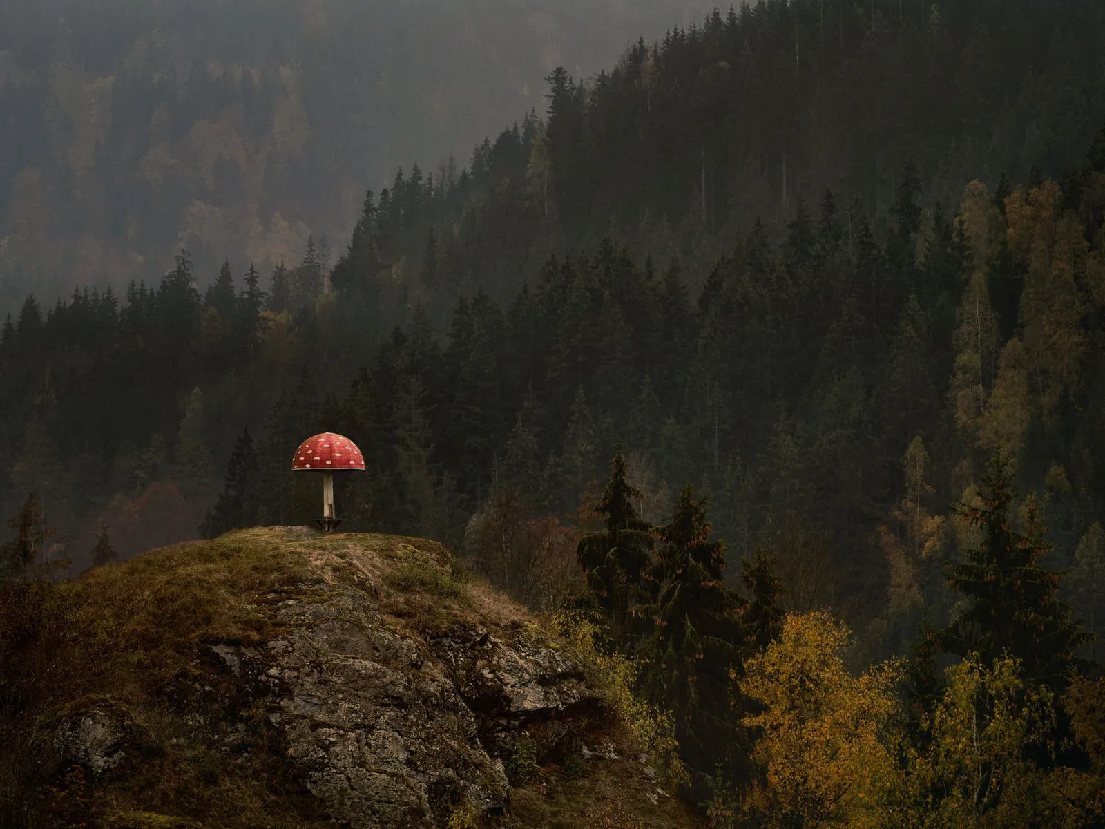 Christopher Thomas, Bittersweet 21, 2018