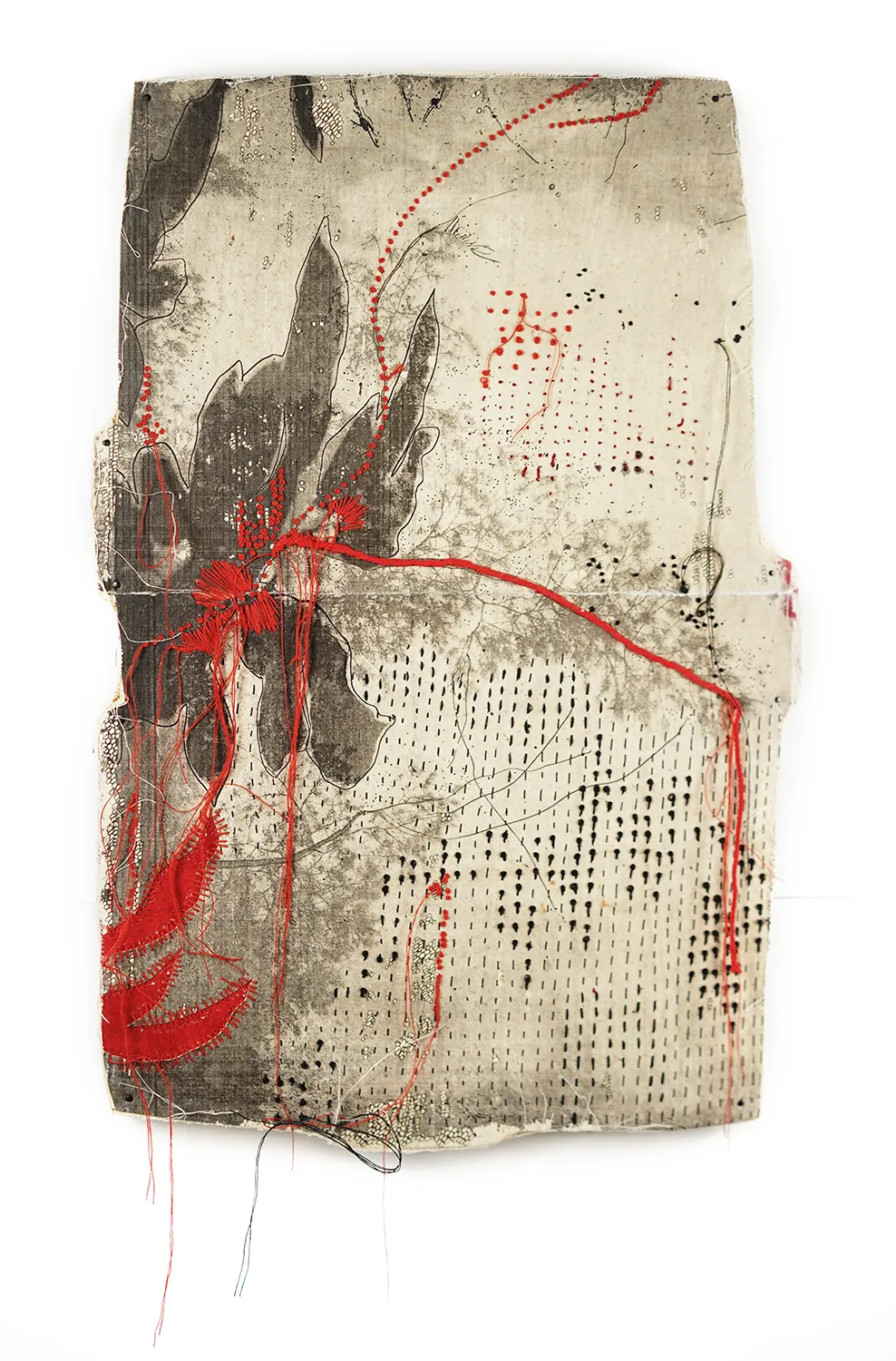 Jackie Mulder, Thought Trails #562, 2025