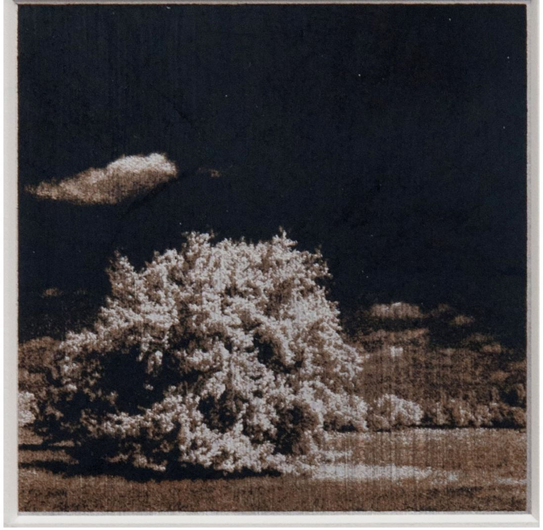 Norio Takasugi, jta-3, 2018