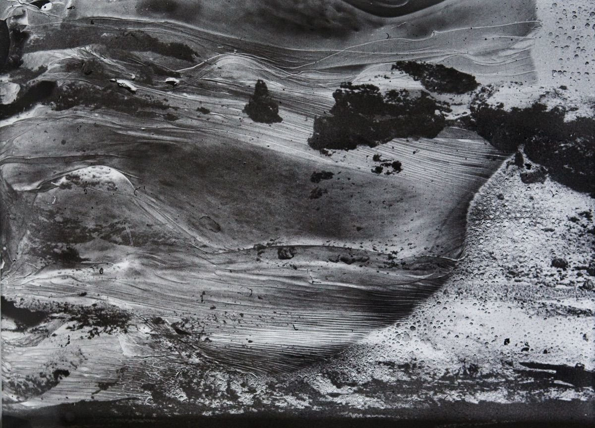 Daisuke Yokota, Lichen No. 11, 2014