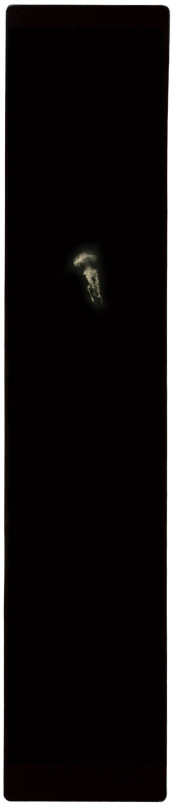 Miho Kajioka, BK0204, 2016