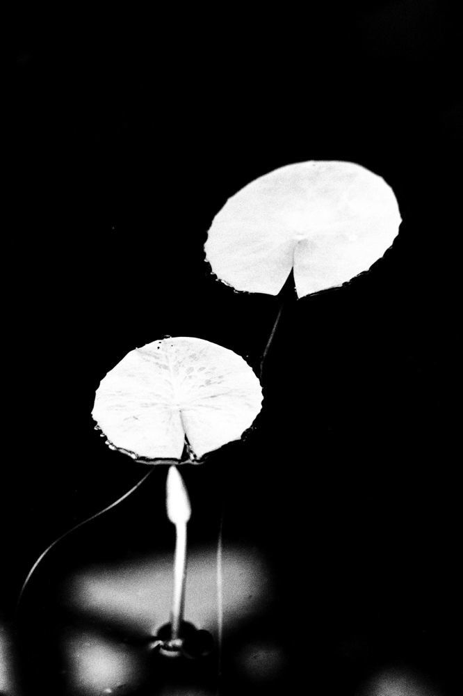 Munemasa Takahashi, Laying Stones 026, 2014