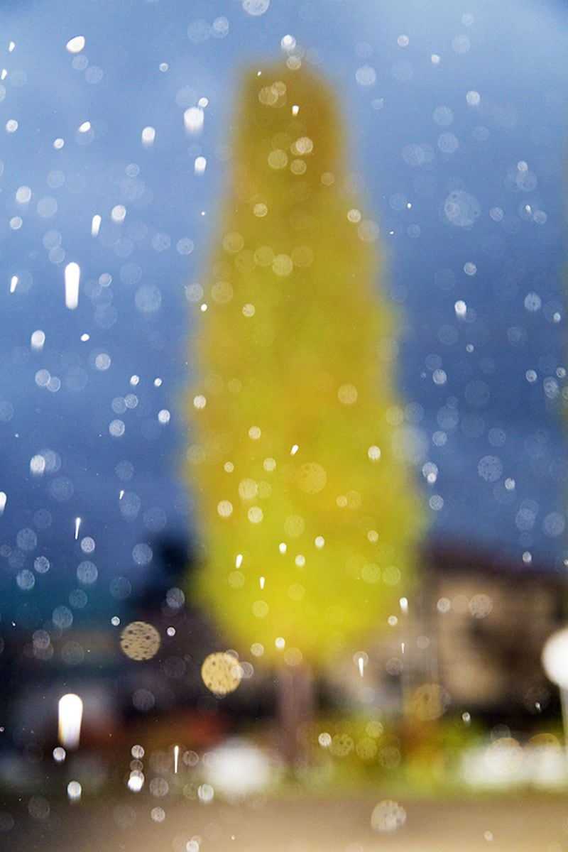 Yoshinori Mizutani, Rain 008, 2015