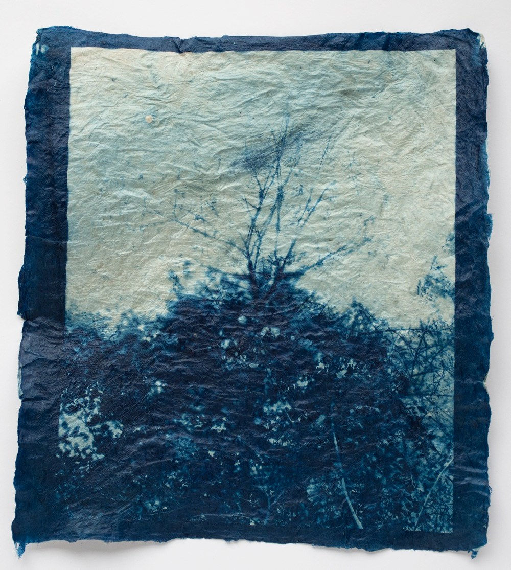 Mika Horie, A small growth, 2021