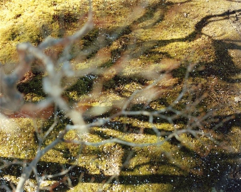 Yoko Ikeda, 1007-02 Kyoto City, Kyoto Prefecture, 2013