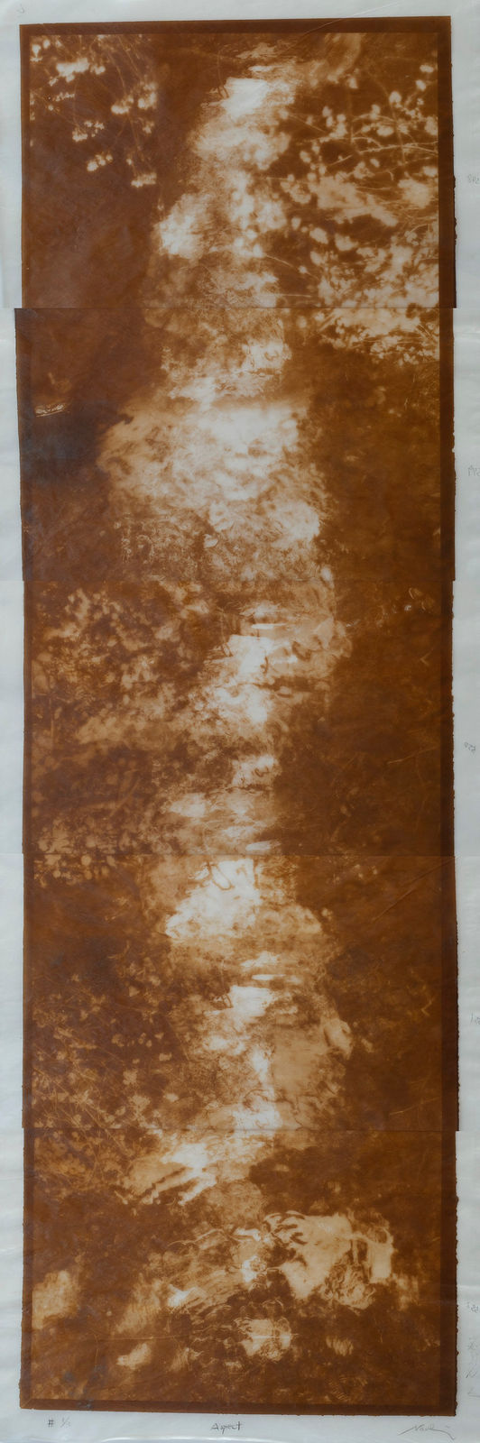 Naoyuki Ogino, Aspect, n.d.