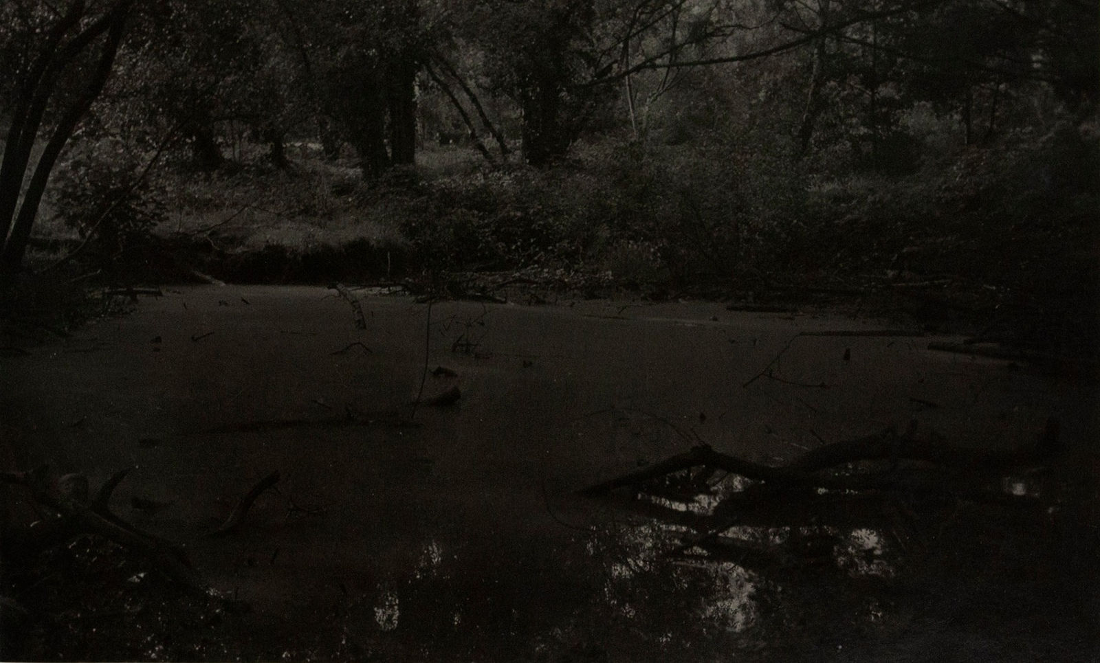 Sayako Sugawara, Ironstone Pond 1, 2022