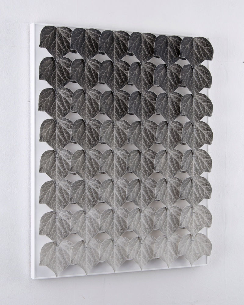 Norio Takasugi, Efeu 13-6G, 2017