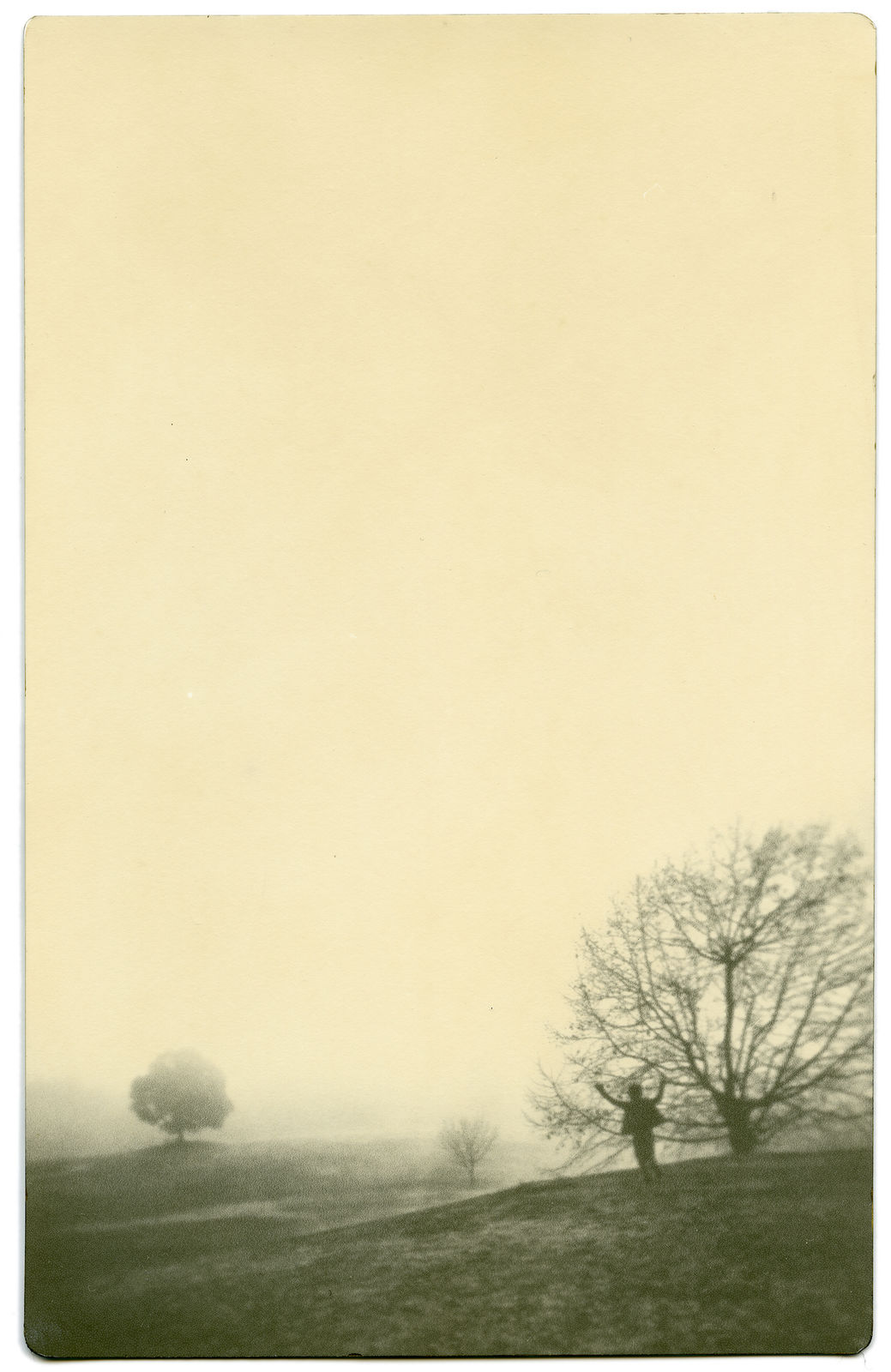 Miho Kajioka, BK0366, 2017