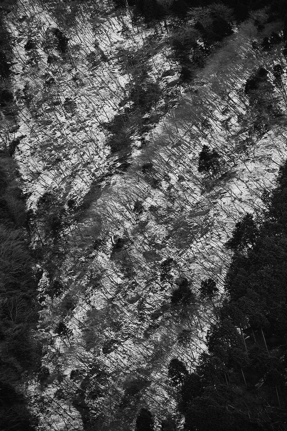 Shimpei Yamagami, Epiphany 23, 2018-2021