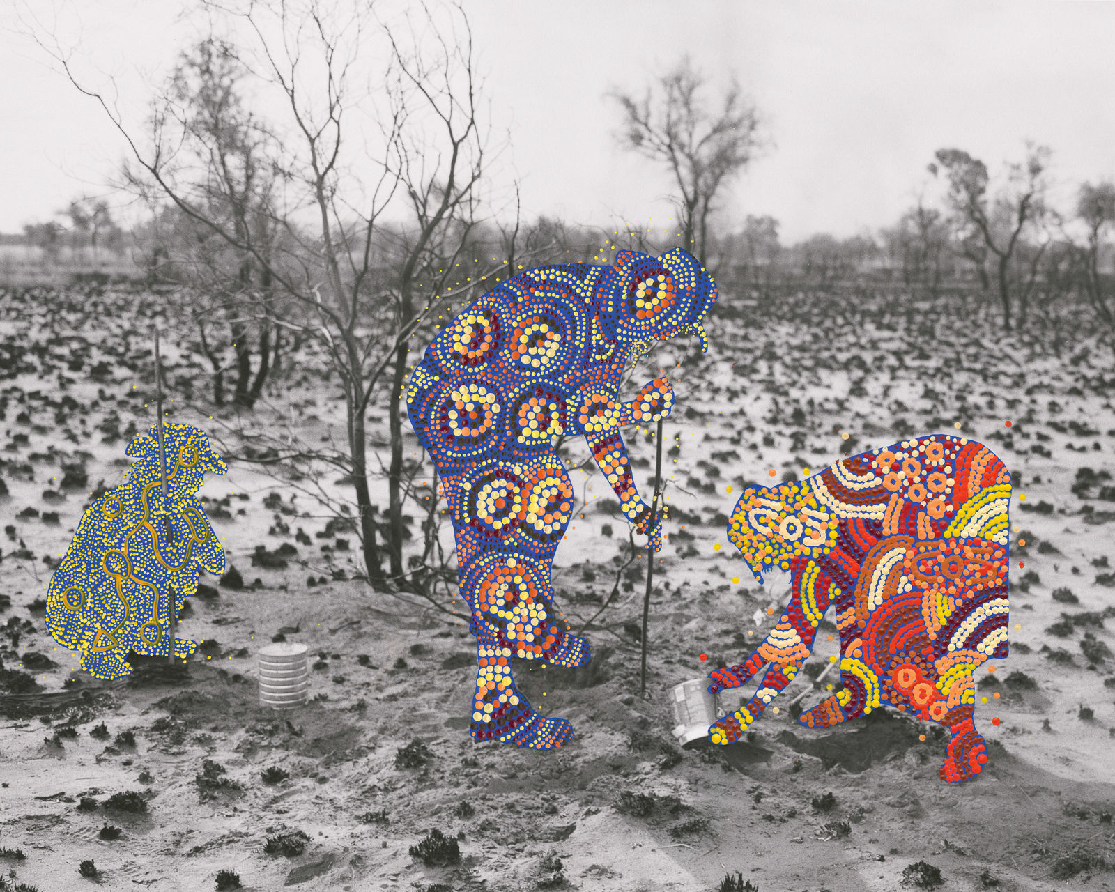 Patrick Waterhouse, Digging for Iguana. Jarra. Restricted with Shanna Napanangka Williams. 2014-2018, 2014-2018