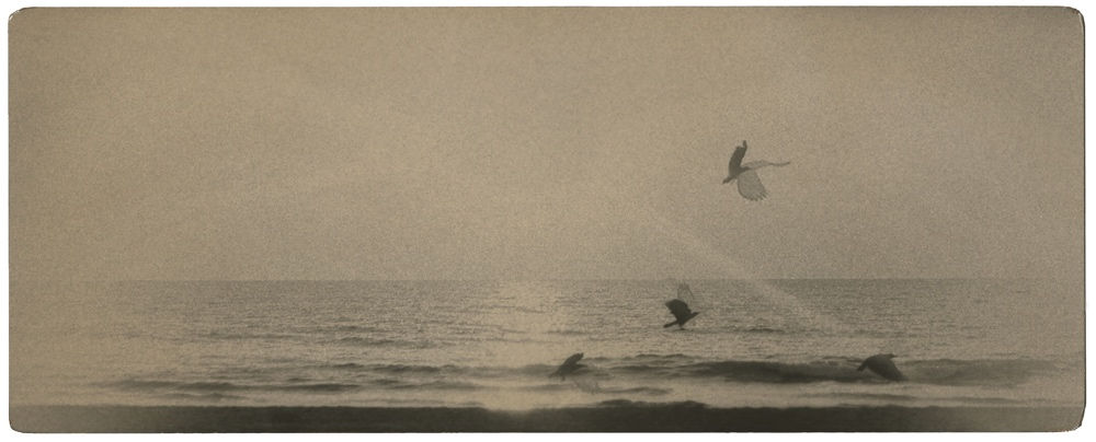 Miho Kajioka, BK0616, 2017