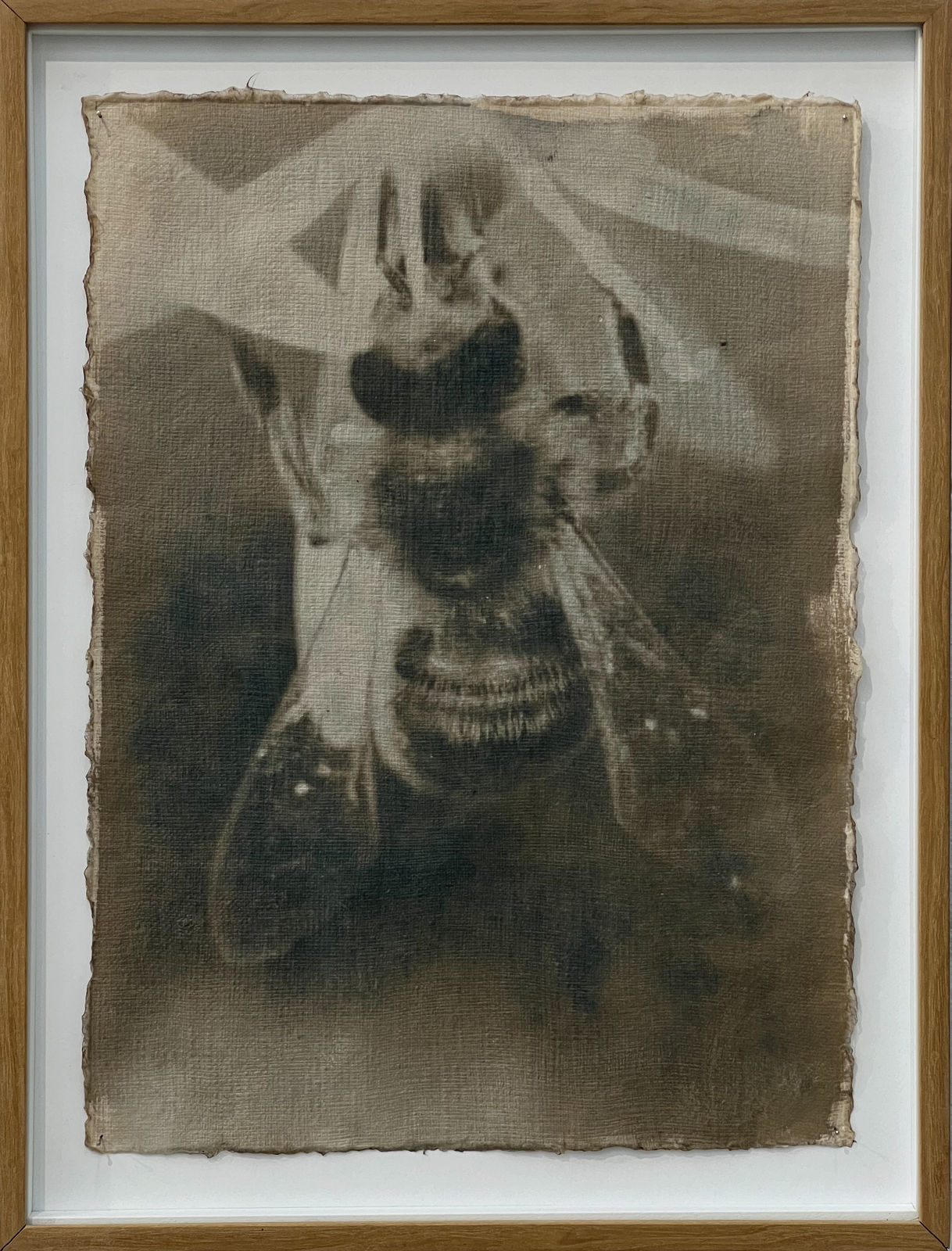 Justus de Rode, Life audibly stirs, 2024