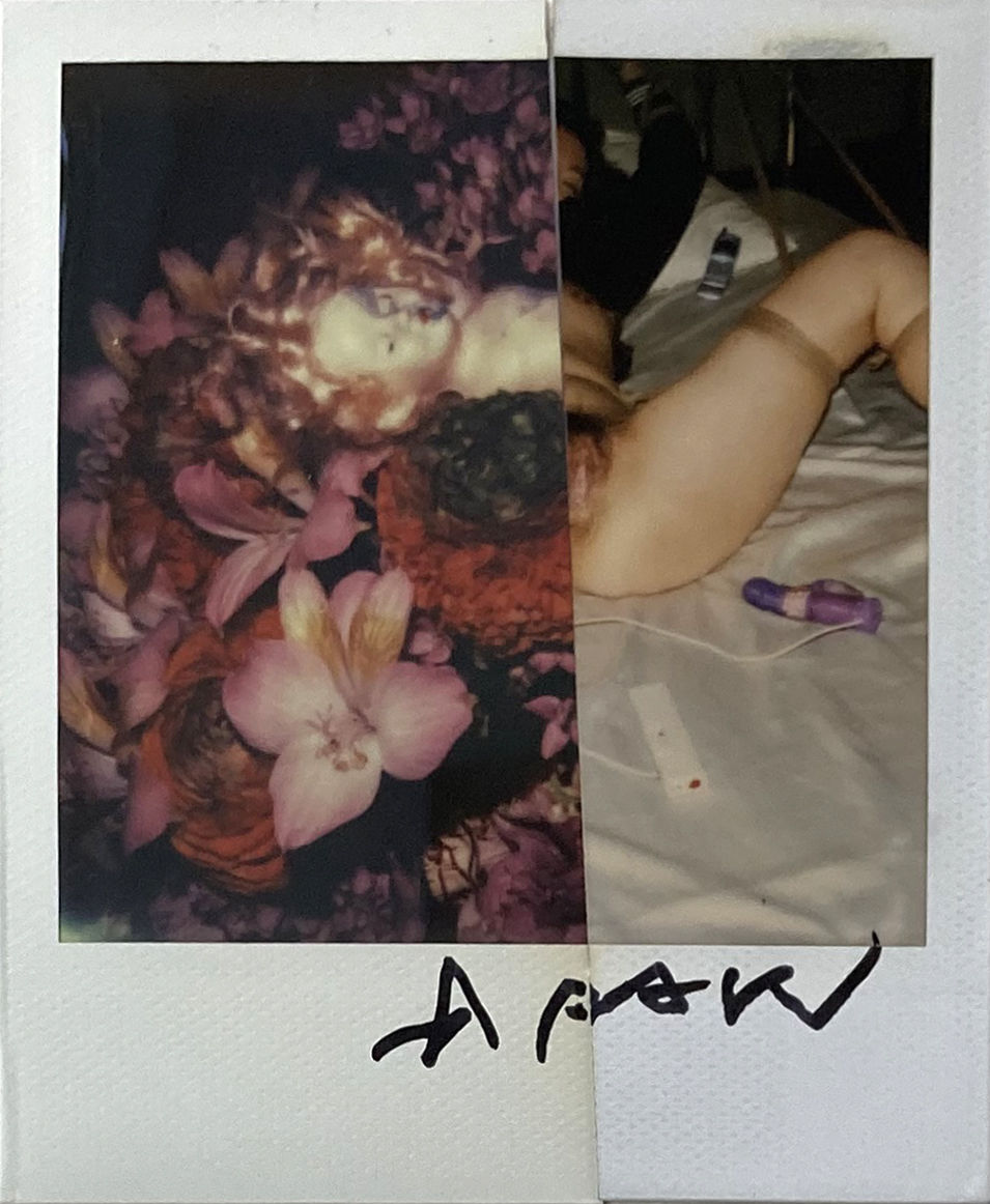 Nobuyoshi Araki, Untitled, 2014