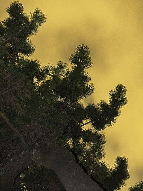 Yoshinori Mizutani, Moonlight 04, 2014