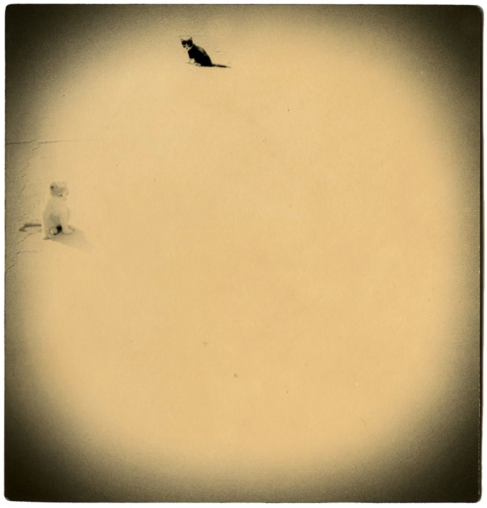 Miho Kajioka, BK0572, 2003