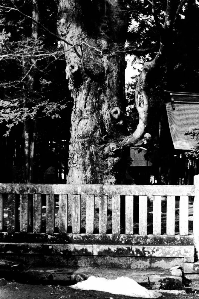 Munemasa Takahashi, Laying Stones 034, 2014