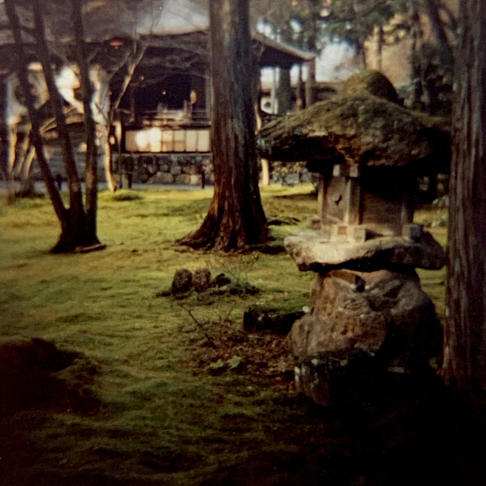 Sean Lotman, Kyoto moss, 2008