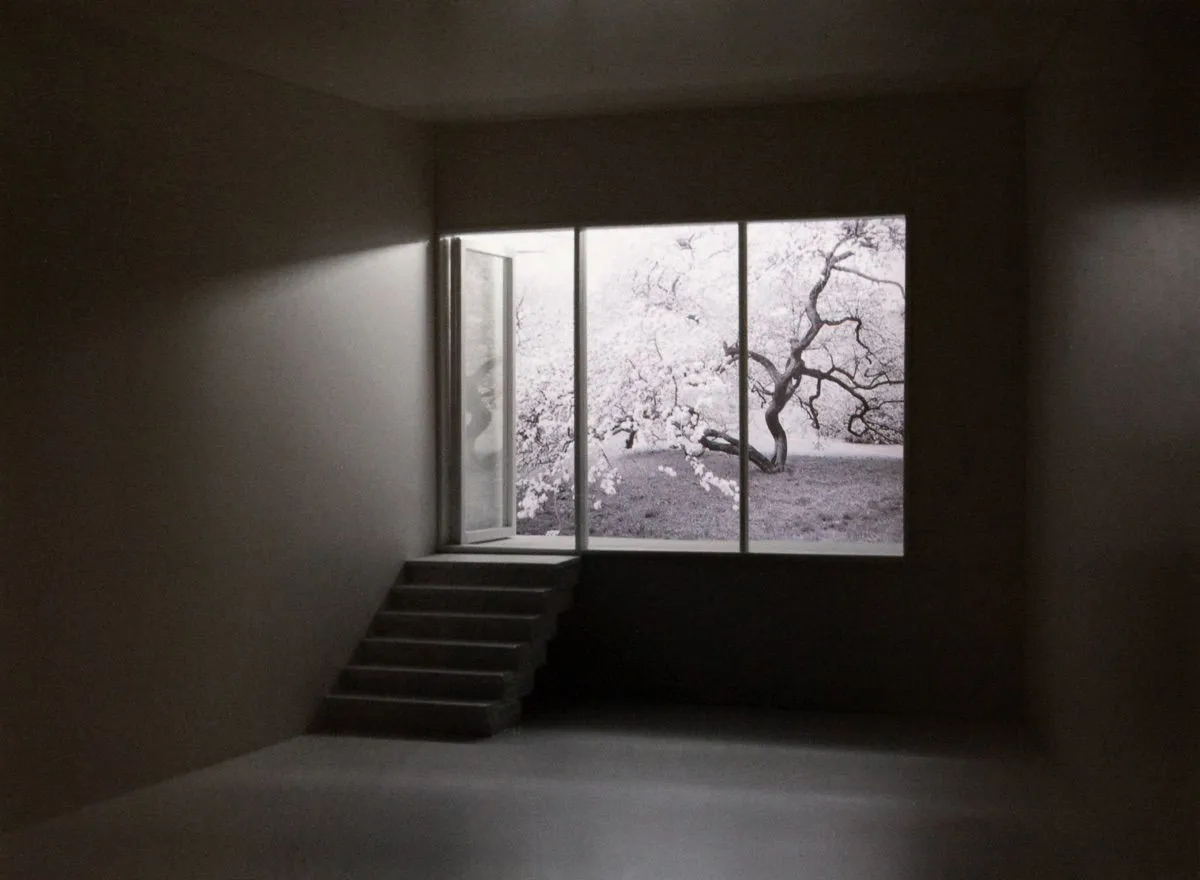 Various Japanese Artists, Mayumi Terada - View of Blossoms from Basement, 2007