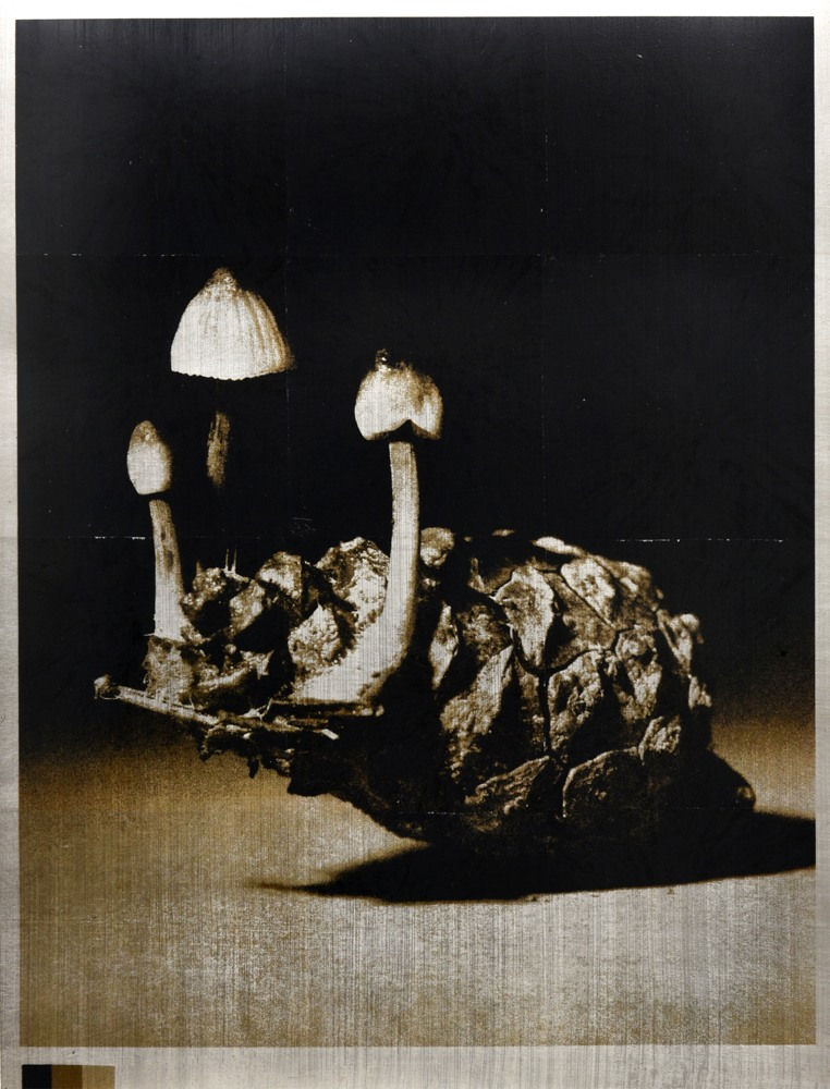 Norio Takasugi, KZR-5, 2022