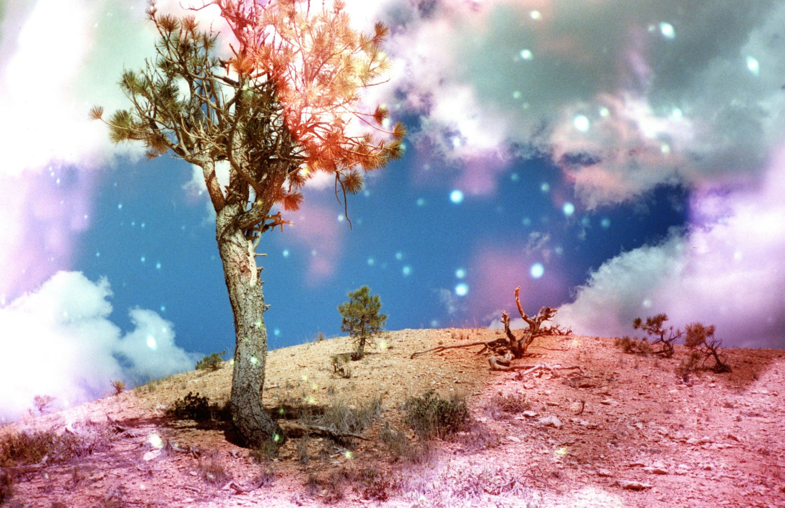 Sean Lotman, Spaceman 27: A Celestial Occurrence III, 2023