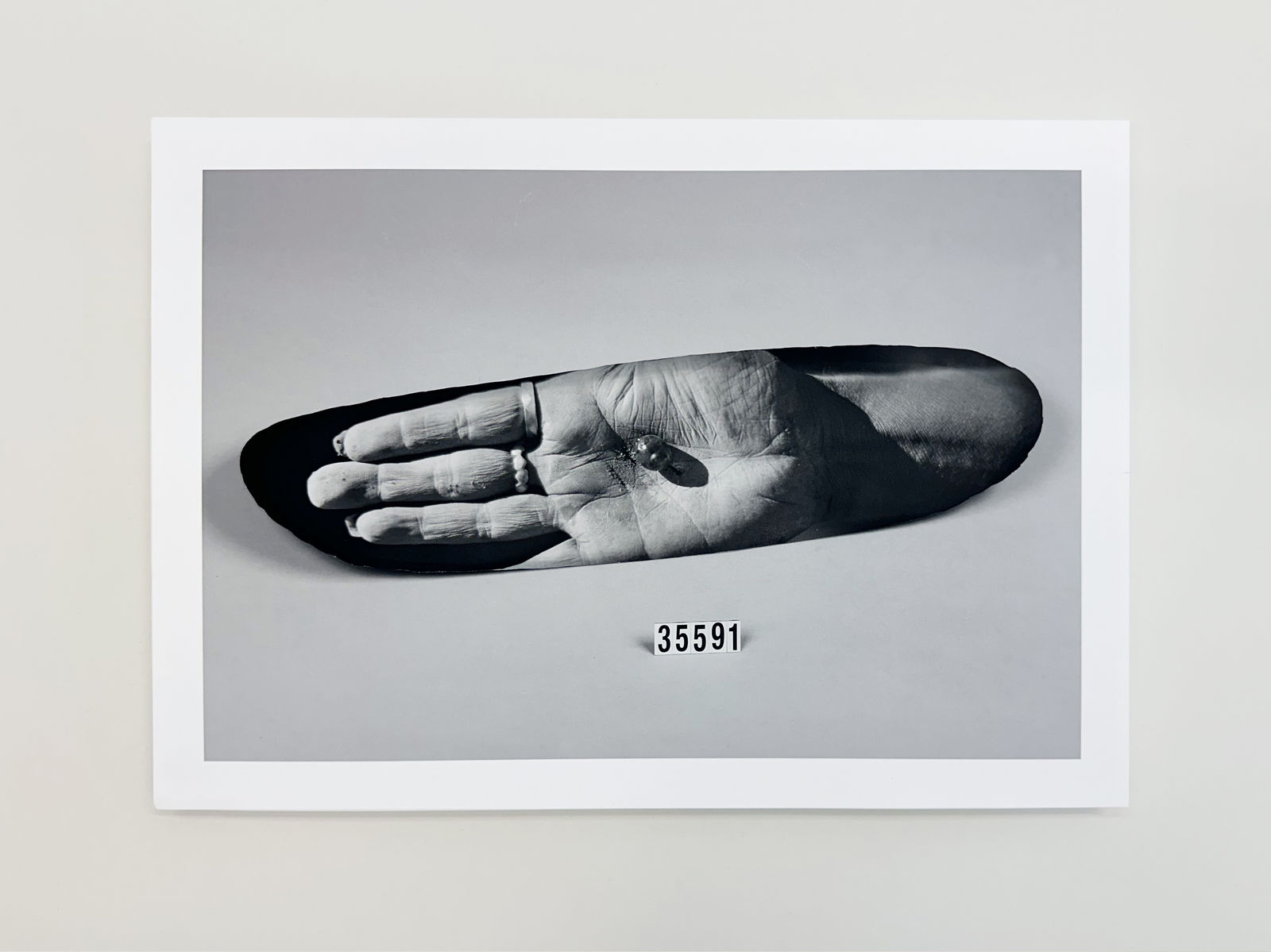 Patrick Waterhouse, 35591, 2022-23