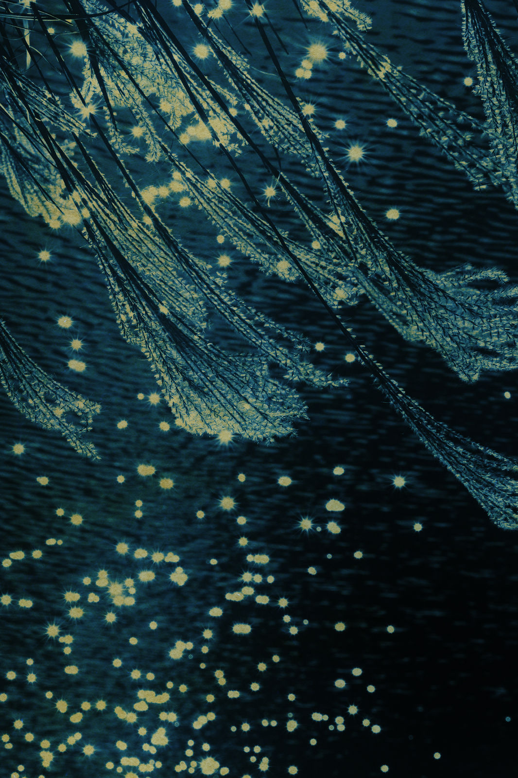 Albarrán Cabrera, The Mouth of Krishna #34860, 2019