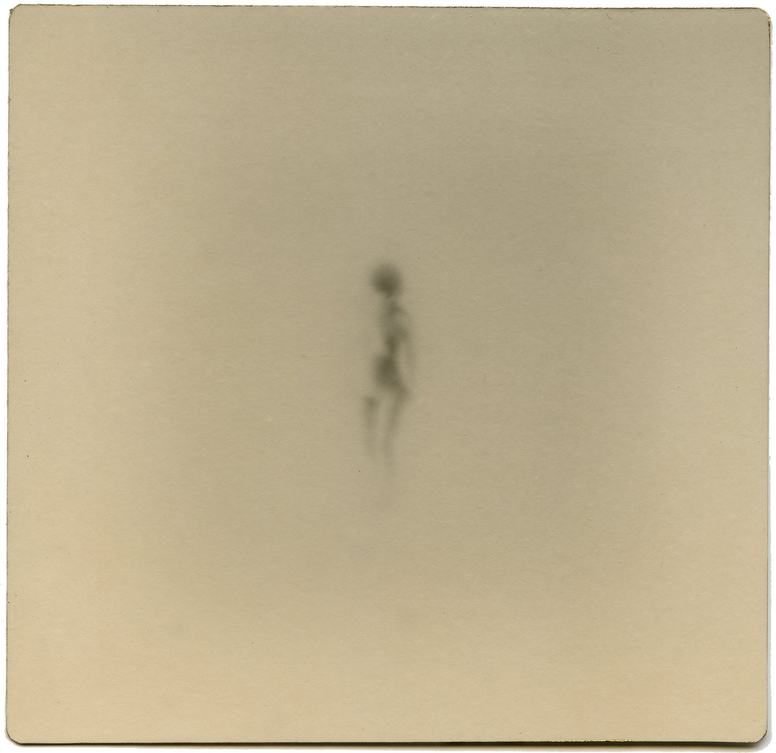 Miho Kajioka, #0055, 2019